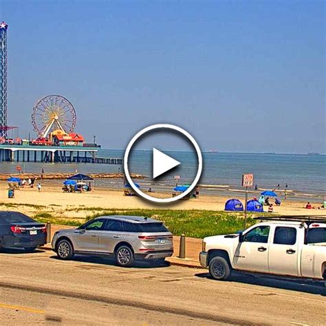 galveston webcams live|Murdochs Video Cam